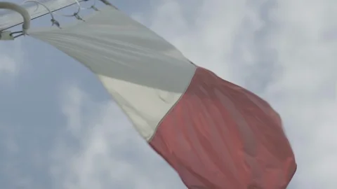 Flag slowly waving in the wind Stock Footage 115424897