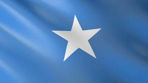 Flag of Somalia Stock Footage 151663561
