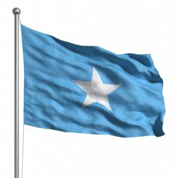 Flag of somalia Stock Illustration