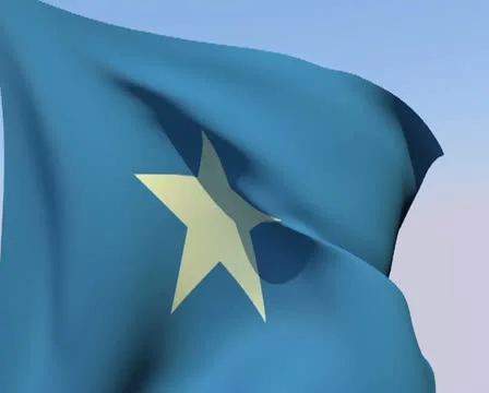 Flag of Somalia PAL Stock Footage 14808980