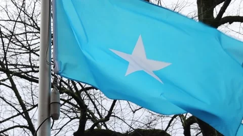 Flag of the Somalia waving in the wind in the Front Somali Embassy Brussels, Stock Footage 143158065