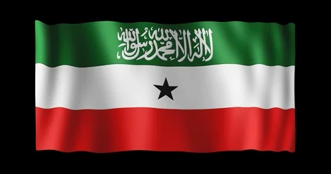 Flag of Somaliland, long ratio (2:1), seamless loop animation Stock Footage 85481334