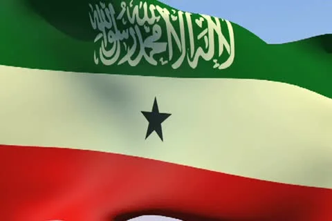 Flag of Somaliland NTSC Stock Footage 14809005