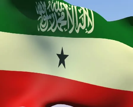 Flag of Somaliland PAL Stock Footage 14809017