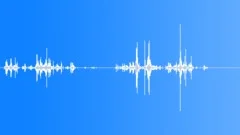 FLAG Sound Effect