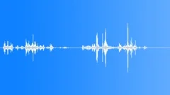 FlagSound Effect