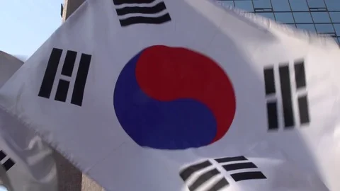 Flag of South Korea flapping during the day Stock-Footage 75682678
