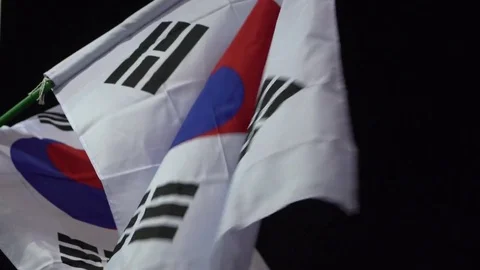 Flag of South Korea flapping at night 스톡 동영상 75683372