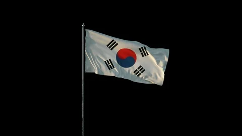 Flag of South Korea Stock Footage 103179593