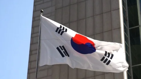 Flag of South Korea Stock Footage 106066619