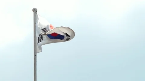 Flag of South Korea Stock Footage 113997143