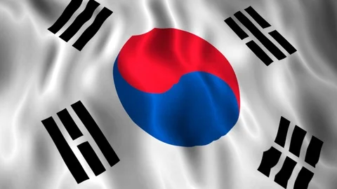 Flag South Korea Stock Footage 128180388