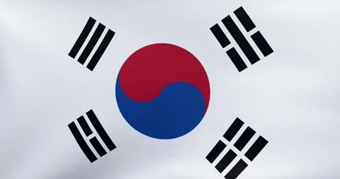 Flag of South Korea	 Stock Footage 318976163