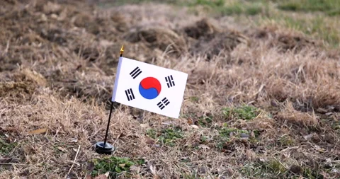 Flag of South Korea standing on the ground among dry and destroyed grass Stock Footage 171660180