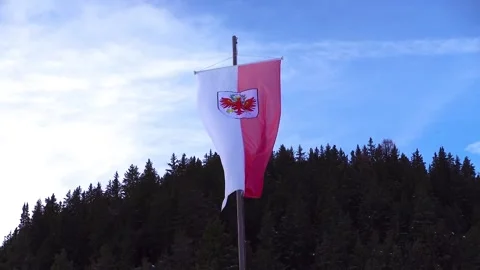 Flag of South Tyrol blowing in the wind. Stock-Footage 230484559