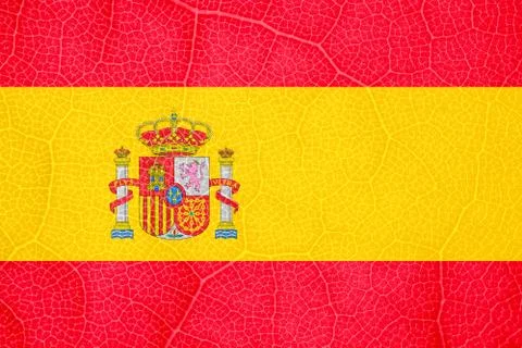 Flag of Spain on the structure of a tree leaf macro Stock-Fotos