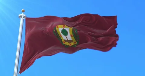 Flag of the spanish province of Biscay in Basque Country, Spain - Loop Stock Footage 115728617
