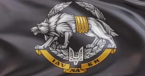 Flag of Special Operations Forces of Ukraine, Seamless looping animation Stock Footage 172495023