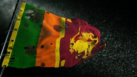 The flag of Sri Lanka is torn and marked with the virus of covid-19 . 動画素材 127199760