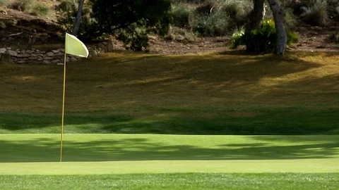 The flag stands in the golf hole Video stock 75216934