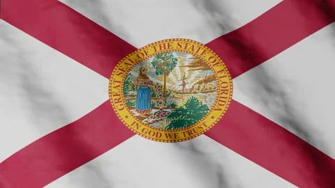 Flag of state Florida waving in the wind. Video footage. Stock Footage 168481514