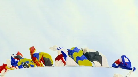 Flag of State Stock Footage 619361