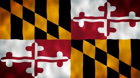 The flag of the State of Maryland Stock Illustration