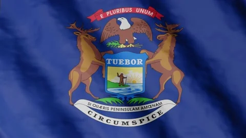 Flag of state Michigan waving in the wind. Video footage. Stock Footage 168481712