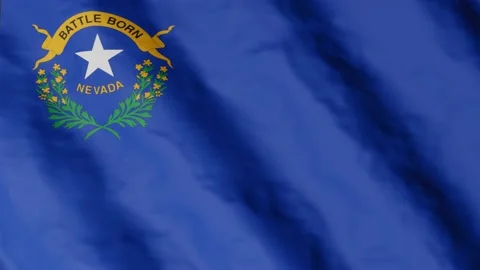 Flag of state Nevada waving in the wind. Video footage. Stock Footage 168482221