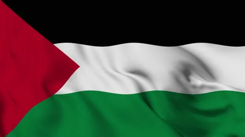 Flag of the State of Palestine fluttering in the wind. National flag of the Stock Footage 139935628