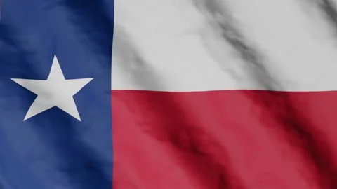 Flag of state Texas waving in the wind. Video footage. Stock Footage 168482398