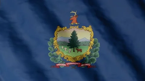 Flag of state Vermont waving in the wind. Video footage. Stock Footage 168482414