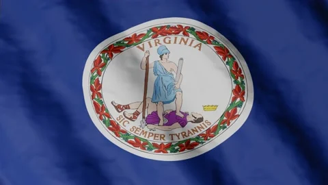 Flag of state Virginia waving in the wind. Video footage. Stock Footage 168482426