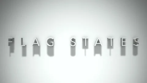 Flag States 3D title animation with shadows on a white background Video stock 296703174