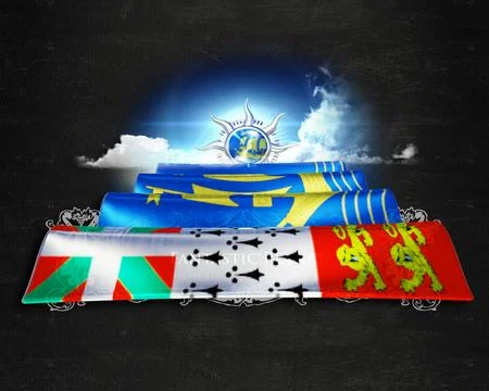 Flag StPierre quality designer flag Stock Illustration