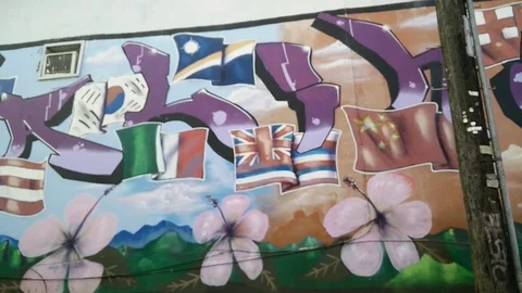 Flag Street Art Stock Footage 105195059