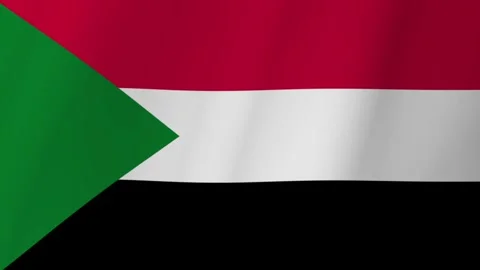 The flag of Sudan 動画素材 319813084