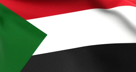 Flag of Sudan Waving 3D Animation Close up, 4K UHD 60 FPS Stock Footage 165524931