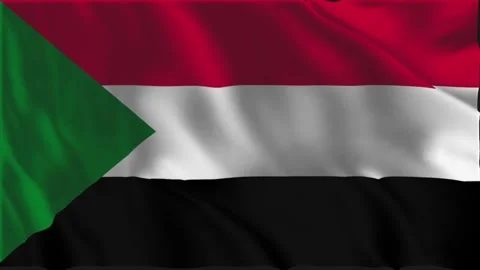 Flag of Sudan waving slowly Video stock 338252324