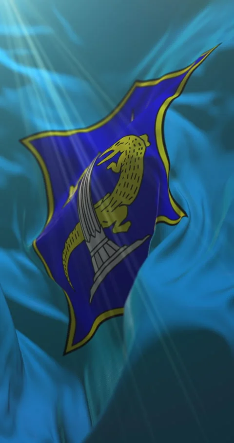 Flag of Surabaya, East Java, Indonesia. Loop. 4K Vertical Stock Footage 311316279