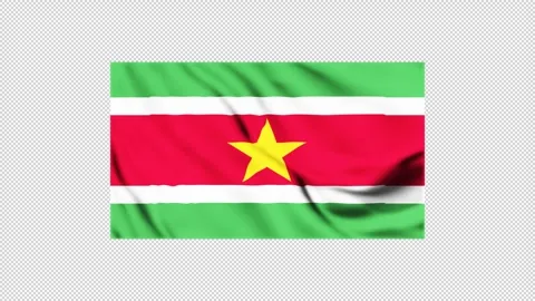 Flag of Suriname fluttering in the wind Stock Footage 310222440