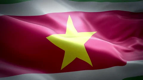 Flag of Suriname Stock Footage 47626940