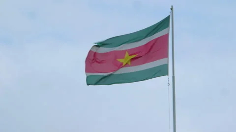 Flag of Suriname Stock Footage 145054364