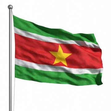 Flag of suriname Illustrazione stock