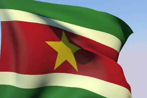 Flag of Suriname NTSC Stock Footage 14812761