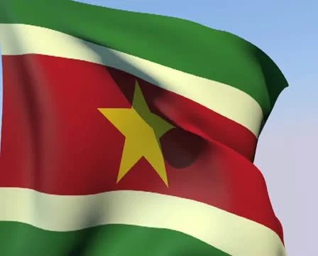 Flag of Suriname PAL Stock Footage 14812845