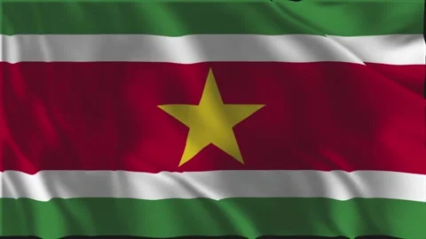 Flag of Suriname waving slowly Stock-Footage 340028637