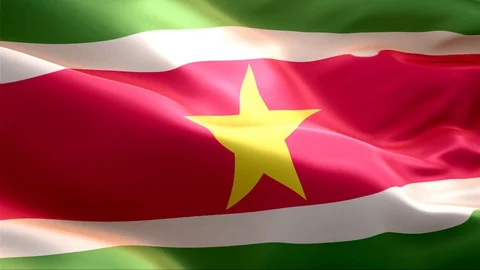 Flag of Suriname waving in the wind. Stock Footage 129357704