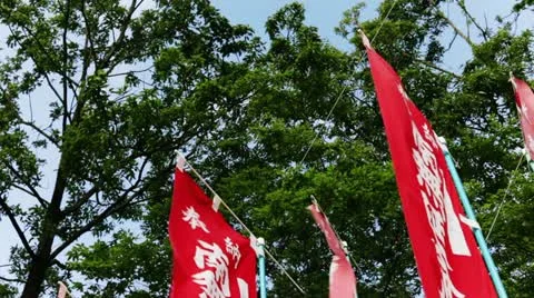 Flag swaying in the wind Stock Footage 11295789