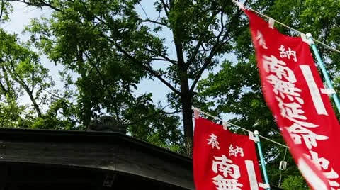 Flag swaying in the wind Stock Footage 11295790